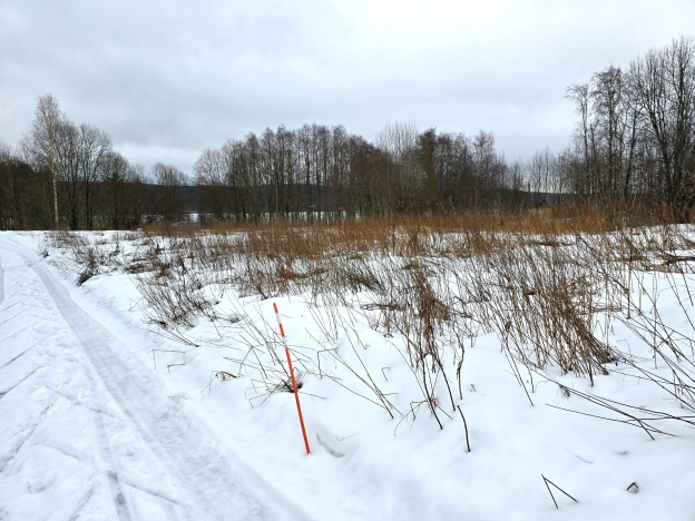 Купить земельный участок в Республике Карелия. Вариант № 21705, 6, площадь -  квм, цена 2000000 рублей