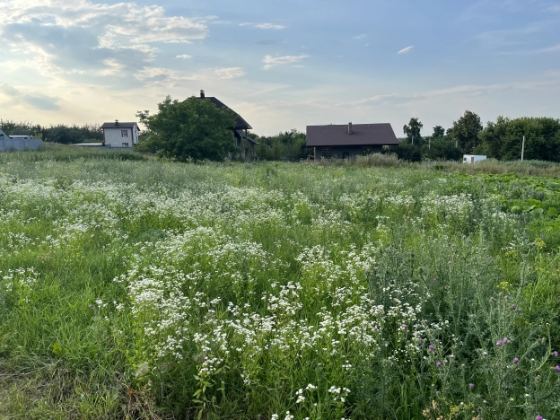 Купить земельный участок на улице Пятилетки в Белгородской области. Вариант № 2788, 4, площадь -  квм, цена 600000 рублей