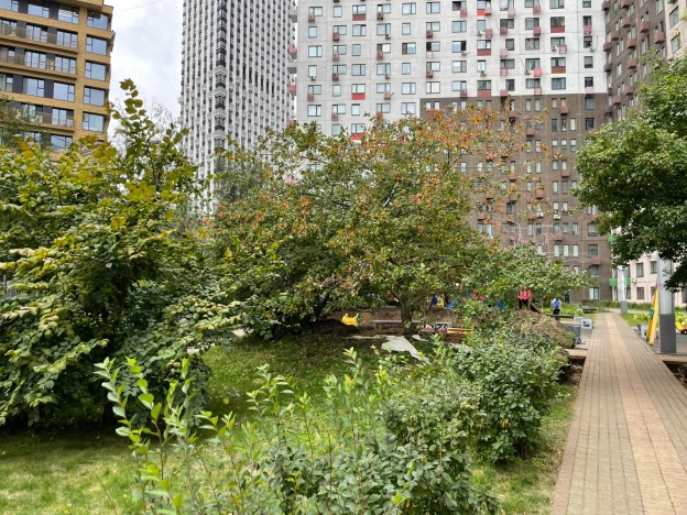 Купить квартиру в Москве. Вариант № 3376955, 23, площадь - квм, цена 20500000.0000 рублей