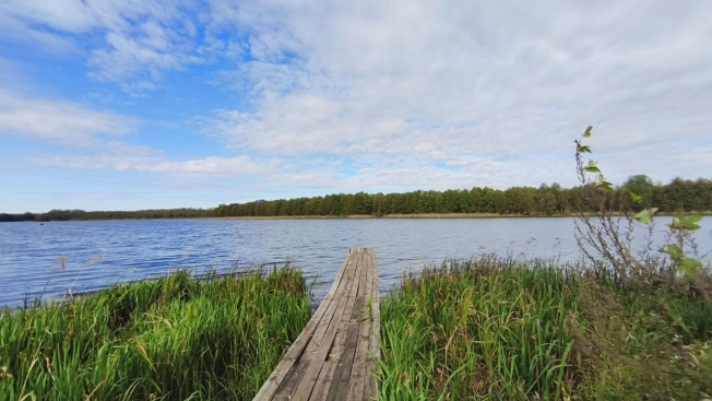 Купить земельный участок в Коврове. Вариант № 7637042, 8, площадь -  квм, цена 330000 рублей