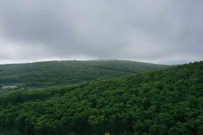 Купить двухкомнатную квартиру в Приморском крае. Вариант № 4136813, 2, площадь -  квм, цена 10592700 рублей