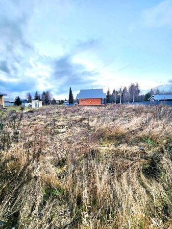 Купить земельный участок в Пермском крае. Вариант № 9828827, 1, площадь -  квм, цена 1300000 рублей