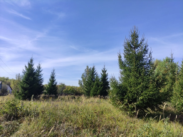 Купить земельный участок в Коврове. Вариант № 14535, 2, площадь -  квм, цена 100000 рублей