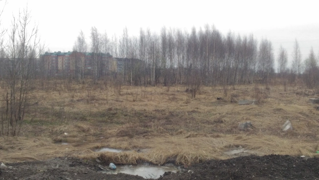 Купить земельный участок в Покрове. Вариант № 37370, 1, площадь -  квм, цена 3000000 рублей