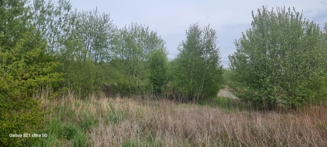 Купить земельный участок на улице 17-я линия в Светлогорске. Вариант № 40567, 4, площадь -  квм, цена 850000 рублей