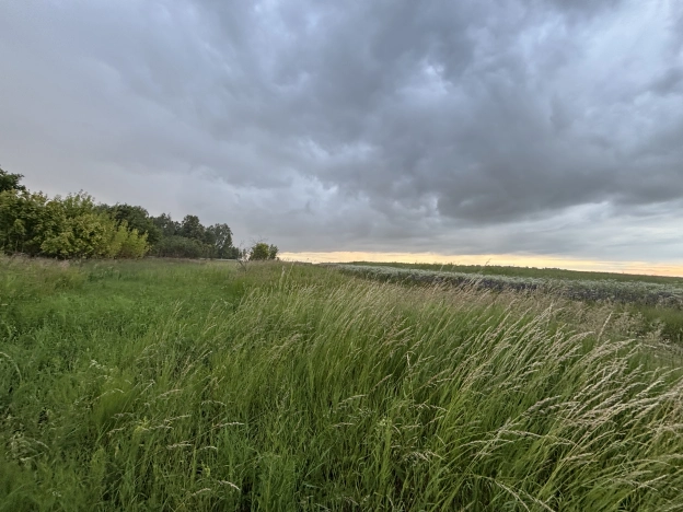 Купить земельный участок в Рязанской области. Вариант № 57791, 1, площадь -  квм, цена 250000 рублей