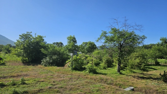 Купить земельный участок в Арсеньеве. Вариант № 59815, 17, площадь -  квм, цена 1050000 рублей