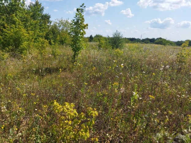 Купить земельный участок на улице Пятилетки в Белгородской области. Вариант № 11209, 4, площадь -  квм, цена 600000 рублей