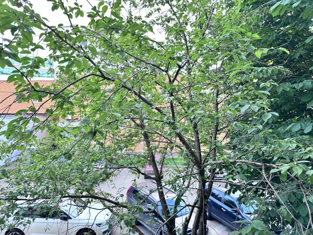 Купить квартиру в ЗАО в Москве. Вариант № 813500, 29, площадь -  квм, цена 25200000 рублей