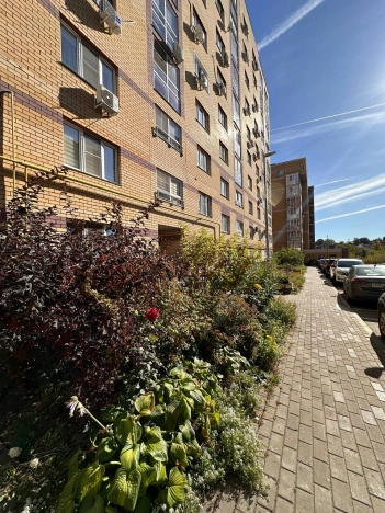 Купить квартиру на улице Бориса Панина в Нижнем Новгороде. Вариант № 5762856, 39, площадь -  квм, цена 14100000 рублей