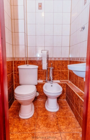 Купить дом на улице Революции в Искитиме. Вариант № 44743, 31, площадь -  квм, цена 17200000 рублей