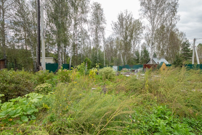 Купить земельный участок в Новосибирске. Вариант № 49891, 10, площадь -  квм, цена 530000 рублей