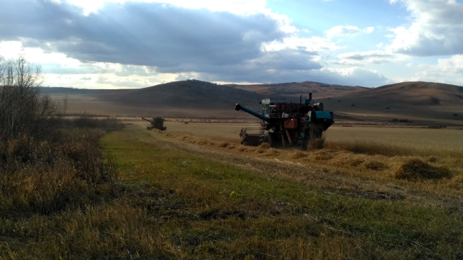 Купить земельный участок в Иркутской области. Вариант № 6825, 1, площадь - квм, цена 13000000 рублей