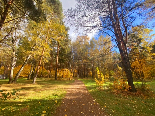 Купить дом в Щёлкове. Вариант № 1635003, 39, площадь -  квм, цена 10990000 рублей