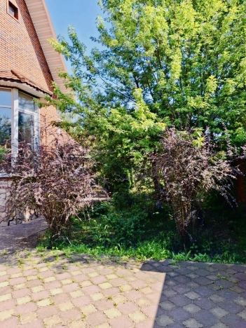 Купить дом в Москве. Вариант № 11533, 5, площадь - квм, цена 20000000 рублей