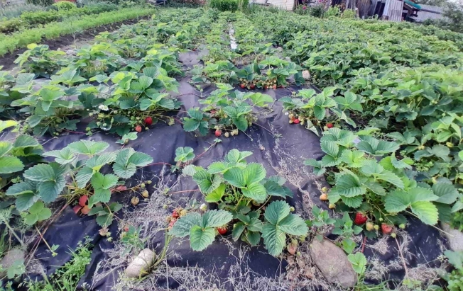 Купить дом в Иркутской области. Вариант № 9799956, 36, площадь -  квм, цена 7000000 рублей