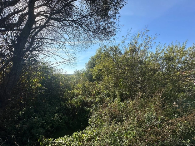 Купить земельный участок в Нижнем Новгороде. Вариант № 9587293, 8, площадь -  квм, цена 3100000 рублей