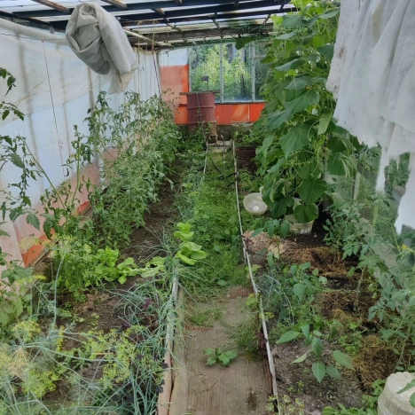 Купить дом в Новосибирске. Вариант № 9509411, 21, площадь -  квм, цена 3700000 рублей