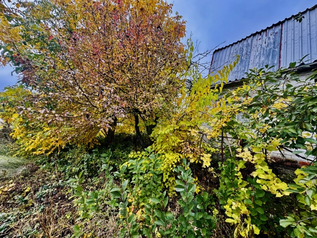 Купить дачу в Белгородской области. Вариант № 7521060, 19, площадь -  квм, цена 900000 рублей