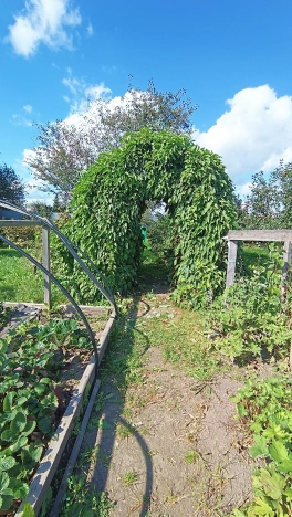Купить дом в Микрорайоне Восточный, Тобольск в Тобольске. Вариант № 22430, 36, площадь -  квм, цена 15000000 рублей