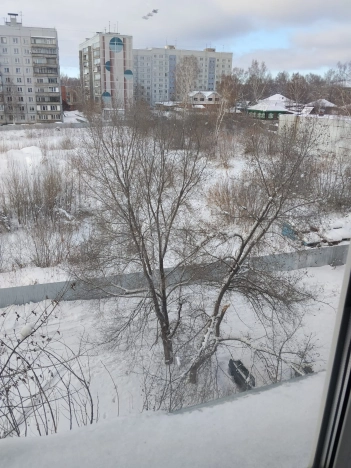 Купить комнату в Новосибирской области. Вариант № 9317845, 2, площадь - квм, цена 1250000 рублей