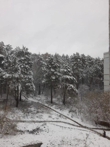 Купить двухкомнатную квартиру в Новосибирской области. Вариант № 10333677, 8, площадь -  квм, цена 5000000 рублей