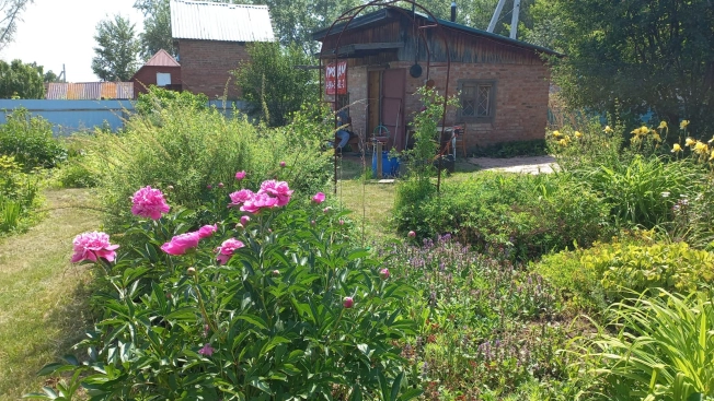 Купить земельный участок в Искитиме. Вариант № 19578, 5, площадь -  квм, цена 850000 рублей