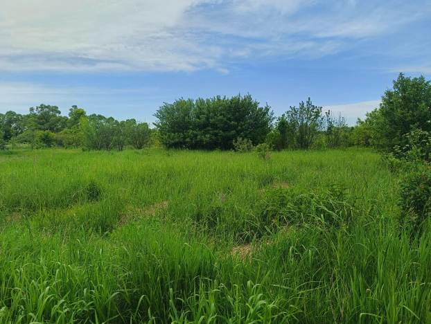 Купить дом на улице Большак в Липецкой области. Вариант № 8669, 16, площадь -  квм, цена 1000000 рублей
