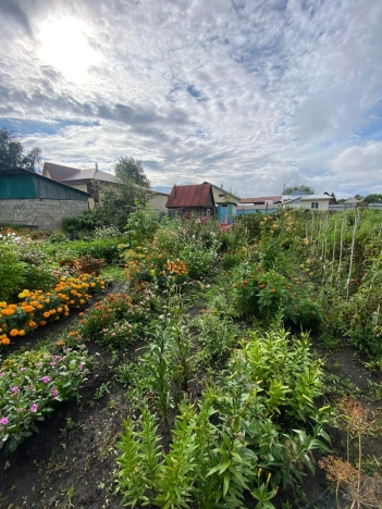 Купить дом на улице Садовая в Алтайском крае. Вариант № 2097163, 20, площадь -  квм, цена 3000000 рублей