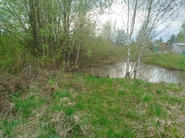 Купить земельный участок в Вологодской области. Вариант № 49160, 1, площадь -  квм, цена 350000 рублей