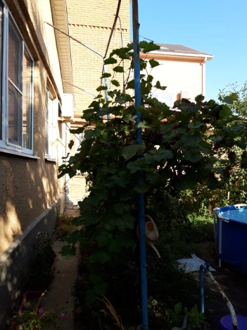 Купить дом на улице Болотникова в Краснодаре. Вариант № 20236, 1, площадь -  квм, цена 14000000 рублей