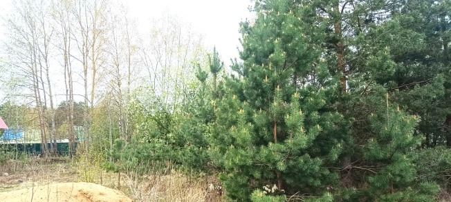 Купить дом в Лакинске. Вариант № 35568, 0, площадь -  квм, цена 1999000 рублей