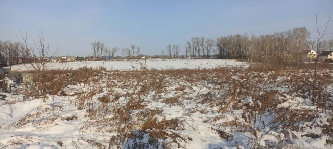 Купить земельный участок в Алтайском крае. Вариант № 9857028, 5, площадь -  квм, цена 690000 рублей