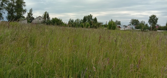 Купить земельный участок на улице Вознесенская в Ивановской области. Вариант № 56402, 16, площадь -  квм, цена 3500000 рублей