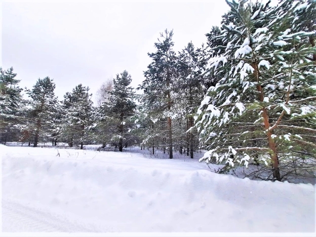 Купить земельный участок на улице Визитная в Владимире. Вариант № 1543, 1, площадь -  квм, цена 841500 рублей