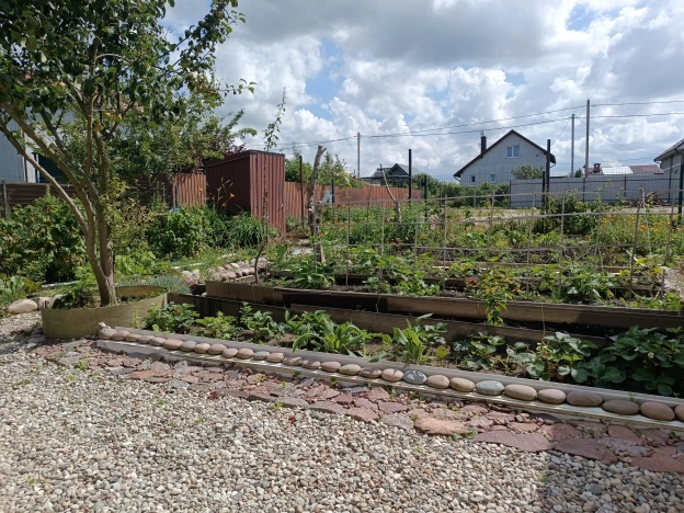 Купить дом в Зеленоградске. Вариант № 60949, 12, площадь -  квм, цена 5500000 рублей