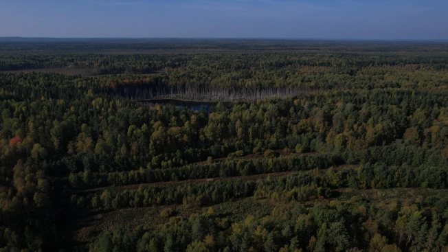 Купить земельный участок в Республике Карелия. Вариант № 13851, 3, площадь -  квм, цена 6000000 рублей