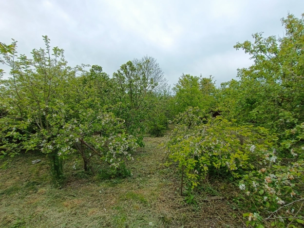 Купить дом в Багратионовске. Вариант № 43560, 45, площадь -  квм, цена 9800000 рублей