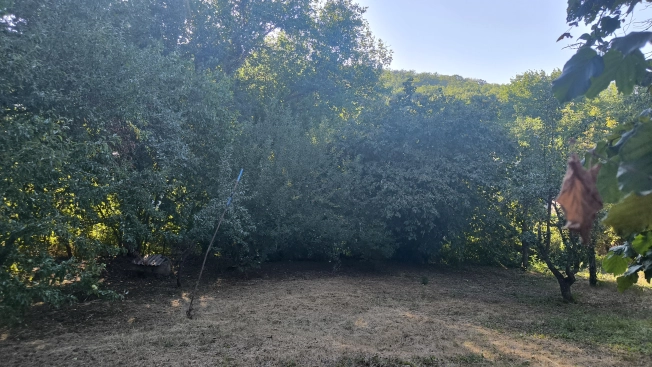 Купить земельный участок на улице Центральная в Республике Крым. Вариант № 2005113, 9, площадь -  квм, цена 2500000 рублей