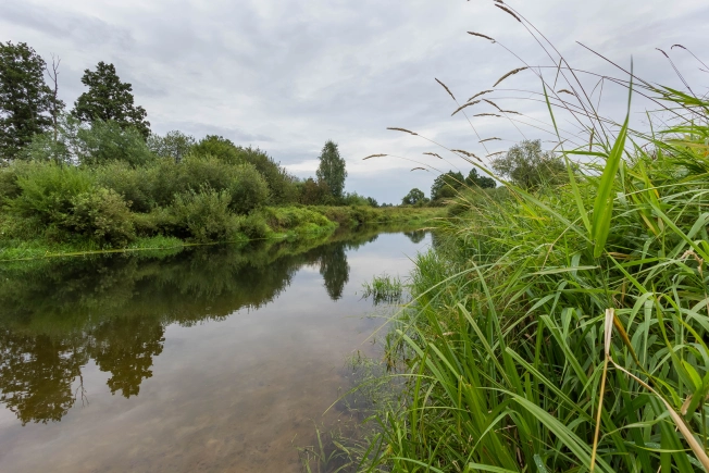 Купить земельный участок в Коврове. Вариант № 6052, 5, площадь -  квм, цена 650000 рублей