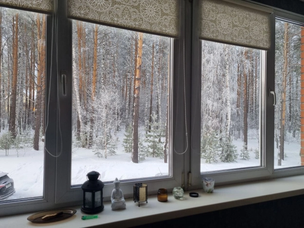 Купить двухкомнатную квартиру в Новосибирской области. Вариант № 10223772, 23, площадь -  квм, цена 12000000 рублей