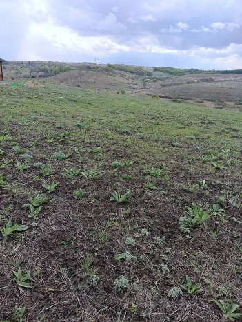 Купить земельный участок в Микрорайоне Юго-Западный-2.2 в Белгороде. Вариант № 47801, 5, площадь -  квм, цена 1800000 рублей