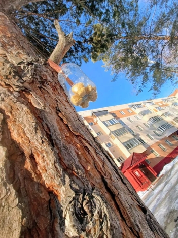 Купить двухкомнатную квартиру в Новосибирской области. Вариант № 9999590, 10, площадь -  квм, цена 6100000 рублей