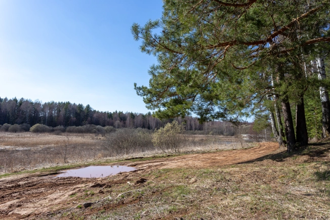 Купить земельный участок в Коврове. Вариант № 36182, 15, площадь -  квм, цена 700000 рублей