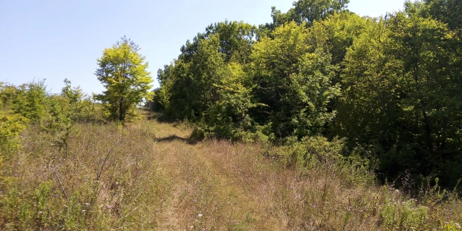 Купить земельный участок на улице Центральная в Новороссийске. Вариант № 11904, 6, площадь -  квм, цена 634000 рублей