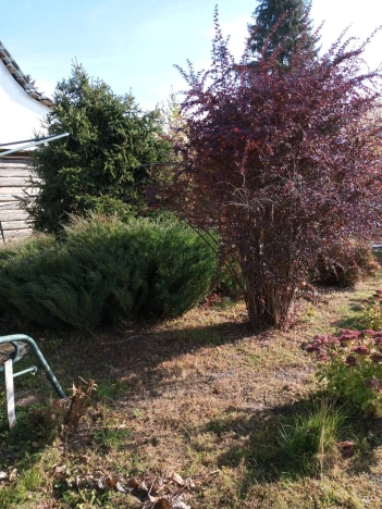 Купить дом на улице Спортивная в Пензенской области. Вариант № 7651083, 13, площадь - квм, цена 5850000 рублей