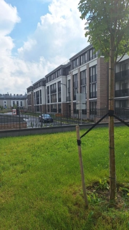 Купить Студию у метро Владимирская в Санкт-Петербурге. Вариант № 2905543, 35, площадь -  квм, цена 7400000 рублей