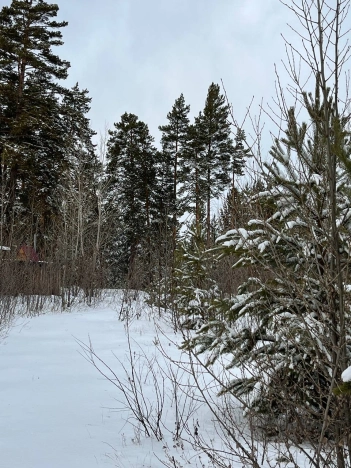 Купить земельный участок в Улан-Удэ. Вариант № 8910520, 1, площадь -  квм, цена 900000 рублей