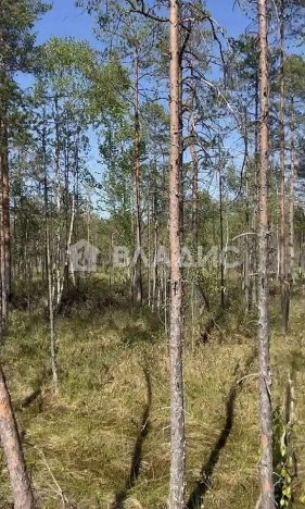 Купить земельный участок в Санкт-Петербурге. Вариант № 7177785, 0, площадь -  квм, цена 3999999 рублей