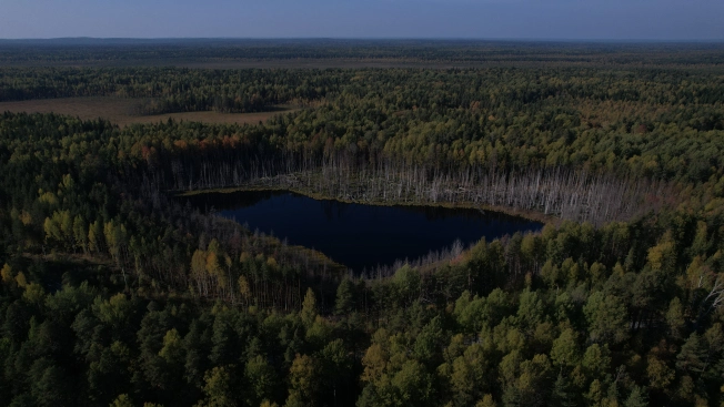 Купить земельный участок в Республике Карелия. Вариант № 13851, 12, площадь -  квм, цена 6000000 рублей